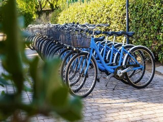 Vakantiepark San Vincenzo  29