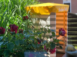 Ferienwohnung Borkum Ausstattung 9