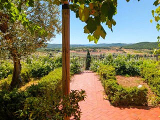 Villa Suvereto Environment 35