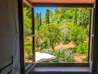 Villa Suvereto Environment 36