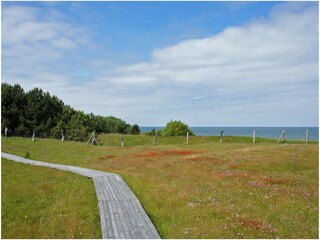 Naturschutzgebiet Kreptitzer Heide