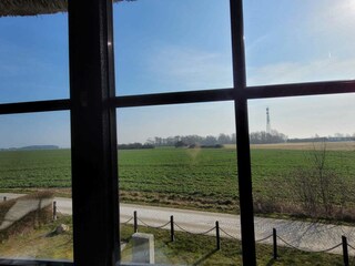 Blick in die Natur vom Elternschlafraum