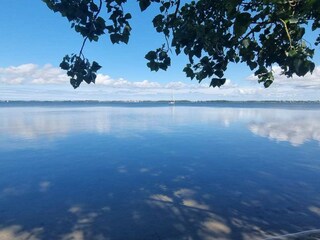 Wieker Bodden, nur 1km entfernt