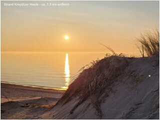 Strand an der Kreptitzer Heide - ca. 1,5 km entfernt
