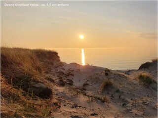 Strand an der Kreptitzer Heide - ca. 1,5 km entfernt