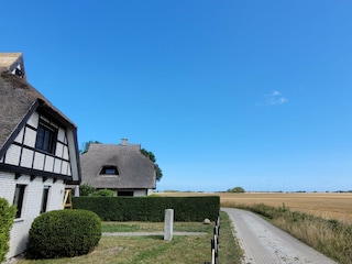 Blick zum Feld