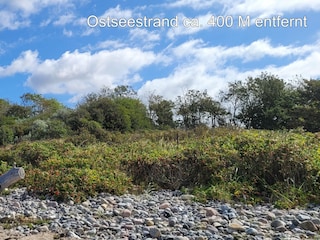 Ostseestrand in 400 M entfernt
