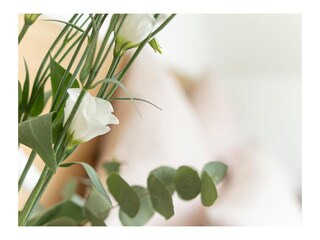 Vakantiehuis Nordhorn Kenmerken 18