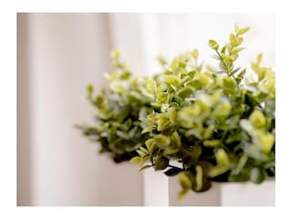 Ferienhaus Nordhorn  38