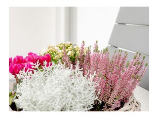 Maison de vacances Nordhorn  55