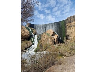 pantano elche