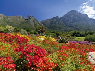 Apartment Kapstadt Umgebung 25