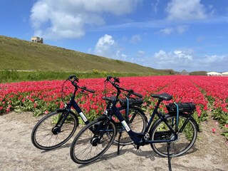 Vakantiehuis Julianadorp Omgeving 15