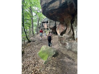 Waldweg zum Bismarckturm oder Burg-Nanstein-Weg