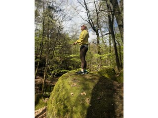 Waldweg
