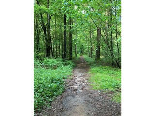 Wald