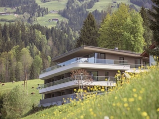 Apartment Hopfgarten im Brixental Außenaufnahme 11