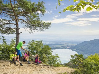 Appartement Feistritz ob Bleiburg Omgeving 19