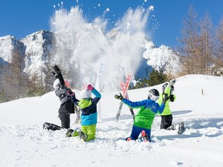 Apartment Feistritz ob Bleiburg Umgebung 18