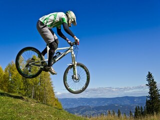 Appartamento Feistritz ob Bleiburg Ambiente 19