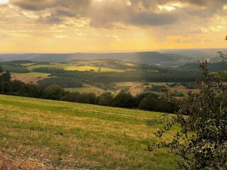 Appartamento Pellingen Ambiente 23