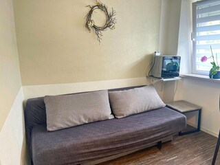Apartment Trier Features 1