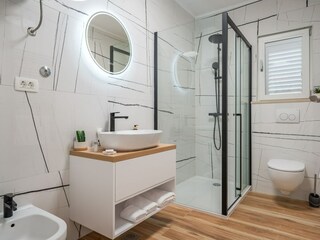 Villa Rogotin Caratteristiche 34