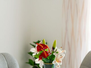 Villa Rogotin Équipement 42