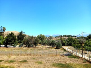 View from the terrace