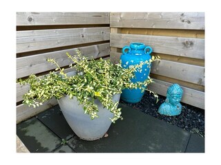 Chalet De Koog Outdoor Recording 12