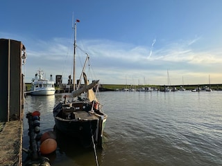 Dasigster Hafen