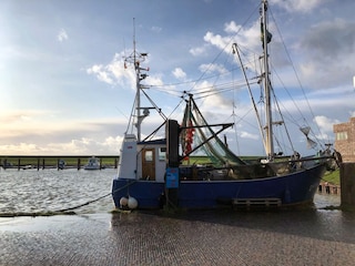 Krabbenkutter im Dangaster Hafen