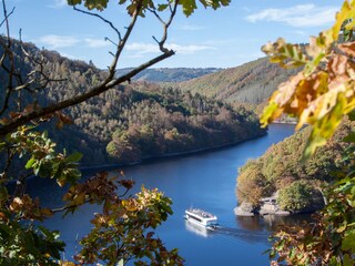 Blick in den Nationalpark Eifel