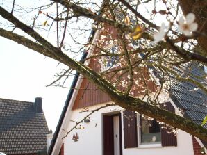 Ferienhaus Am Yachthafen