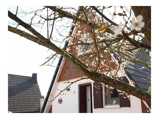 Hauptansicht