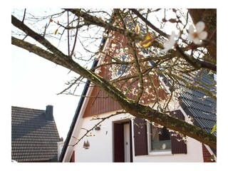 Maison de vacances Harlesiel Enregistrement extérieur 1
