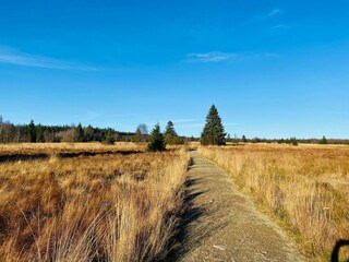 Parc de vacances Malmedy Environnement 24