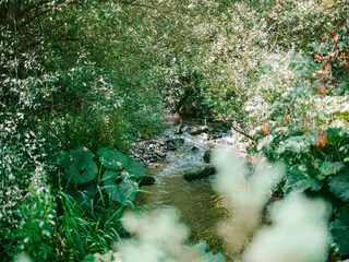 Parque de vacaciones Malmedy Entorno 23