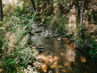 Vakantiepark Malmedy Omgeving 24