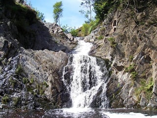 Parco vacanze Malmedy Ambiente 25