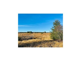 Parco vacanze Malmedy Ambiente 26