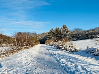 Ferienpark Malmedy Umgebung 28