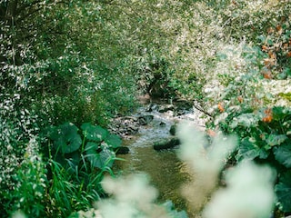 Ferienpark Malmedy Umgebung 23