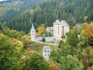 Vakantiepark Malmedy Omgeving 26