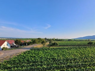 Blick Balkon OG