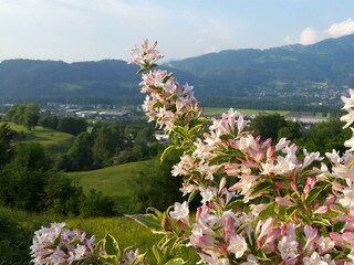 Blumen