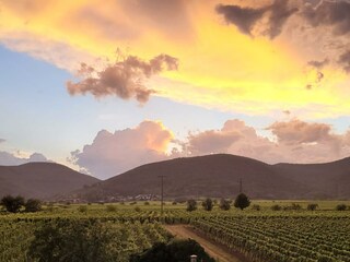 Garten Abendstimmung