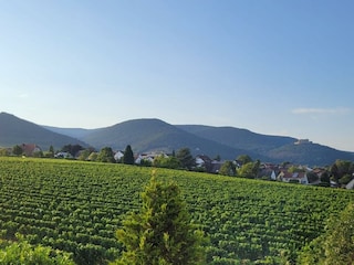Blick DG Balkon