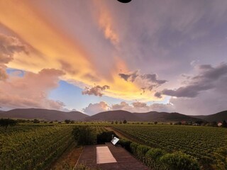 Garten Sonnenuntergang