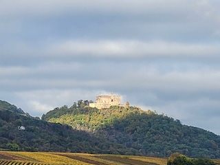 Wingert Schloss Herbst